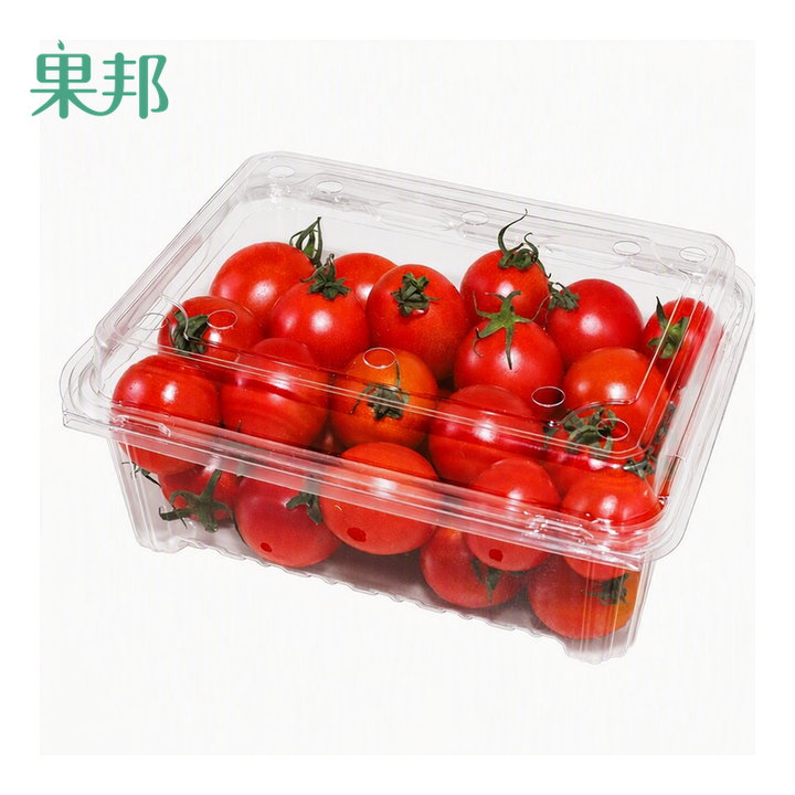 PET 透明果盒 500g 实拍图