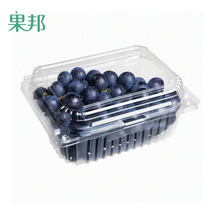 PET 透明果盒 750g 实拍图